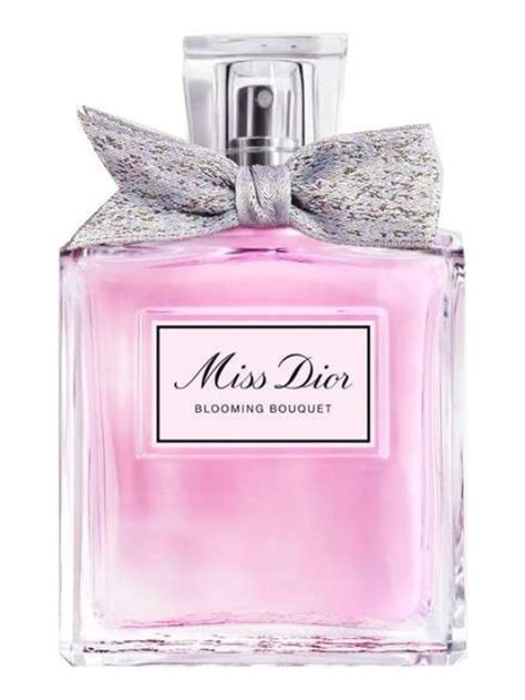 dior 一万円|DIOR.